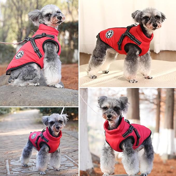 HDKUW Small Dog Jacket, Small Dog Coat Harness Winter Warm Vest Jacket Waterproof Cotton Costume for Puppy Small Dogs (L, Red)