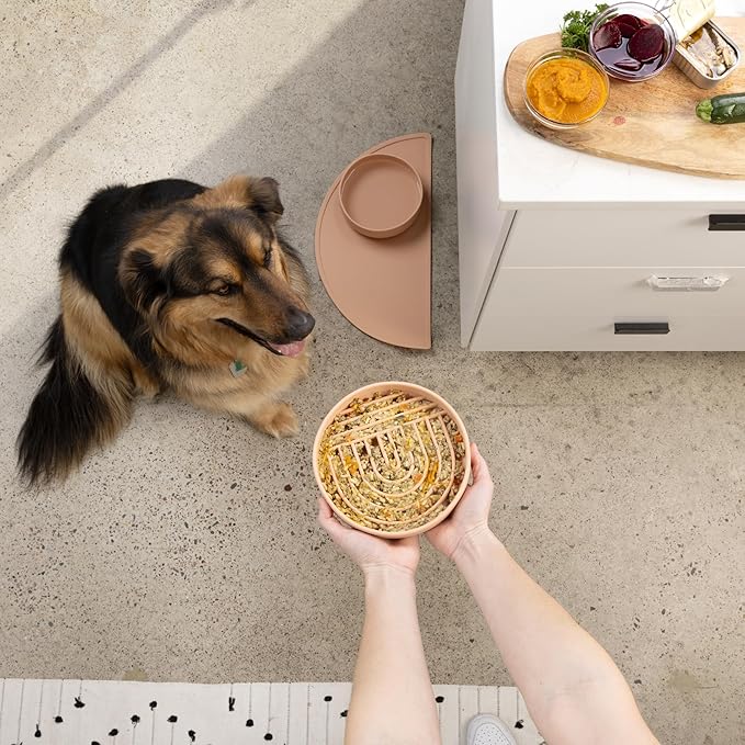 The Slowdown Bowl Silicone Slow Feeder for Dogs & Puppies, Slow Eating, Modern Lick Mat Design, Reduces Gulping, Fits 2.5 Cups 9.5” Across x 1.5” Tall, Mealtime Challenge, Large-Spruce