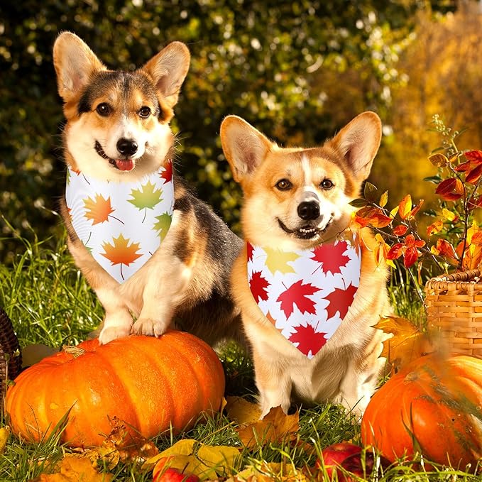 Abbylike 50 Pcs Fall Dog Bandana Bulk Maple Leaves Bandana for Dogs Triangle Kerchief Bibs Scarf for Small Medium Large Pet Autumn Thanksgiving Costume Accessories, 25 Styles (25.6 x 17.7 x 17.7 Inch)