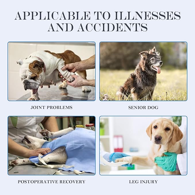 Dog Lift Harness, Full Body Support with Adjustable Control Handle for Medium Senior Dogs, Post-Surgery Recovery & Joint Problems (Oxford Cloth, M)