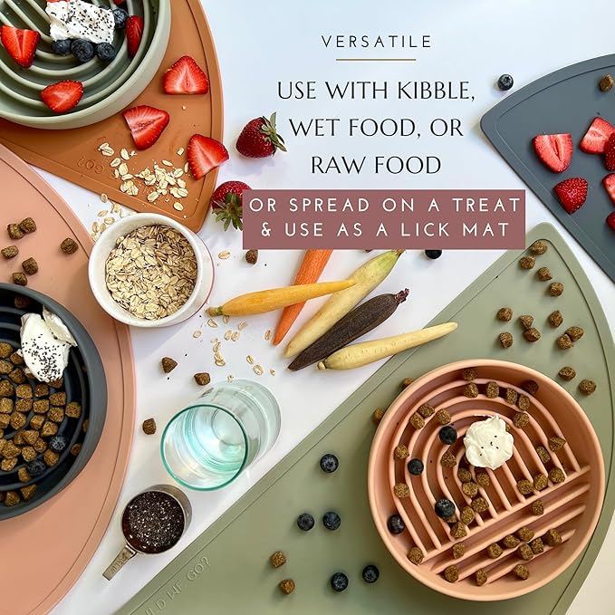 The Slowdown Bowl Silicone Slow Feeder for Dogs & Puppies, Slow Eating Modern Lick Mat Design Reduces Gulping, Fits 2.5 Cups 9.5” Across x 1.5” Tall, Mealtime Challenge, Large-Charcoal