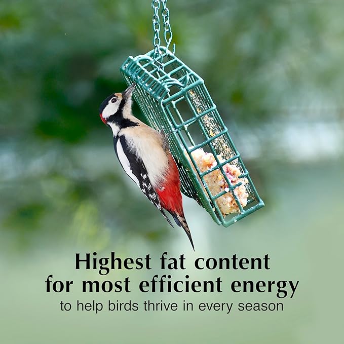 C&S Peanut Butter Delight No Melt Suet Dough, Suet Cakes for Wild Birds, 11.75 Ounces, Pack of 8