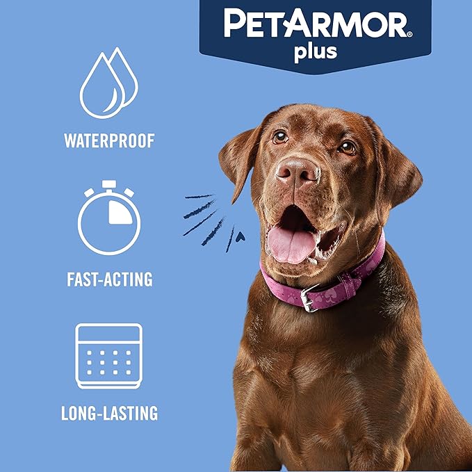 PetArmor Plus Flea and Tick Prevention for Dogs, Dog Flea and Tick Treatment, 12 Doses, Waterproof Topical, Fast Acting, Medium Dogs (23-44 lbs)