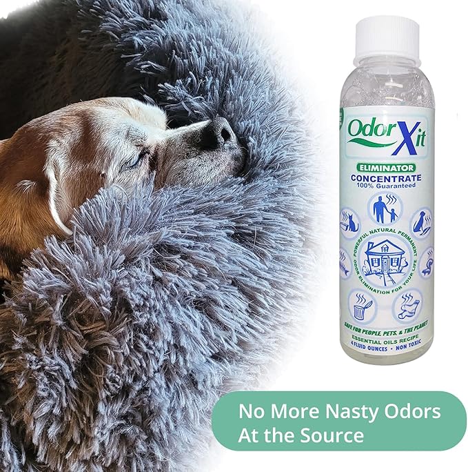 Pet Urine Odor Eliminator Spray 16oz + Concentrate 4oz – Natural, Safe & Effective Odor Neutralizer for Pets & Home