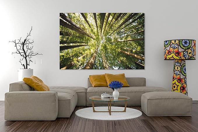 Nature Wall Art Prints - Ocean Forest Mountain Lake Canvas Landscapes - Small to Extra Large Living Room Bedroom Kitchen Bathroom Décor (Serenity in the Forest, 20L" x 30W")