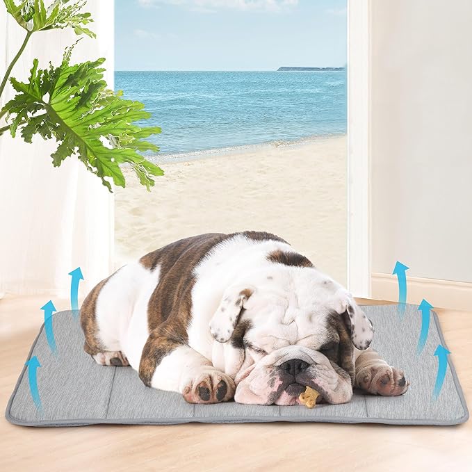 Dog Cooling Mat for Medium Dogs - 30x20 Orthopedic Memory Foam Pet Pad for Summer, QMAX>0.5, Washable Premium Comfort Crate Pad for Your Furry Companion, Grey