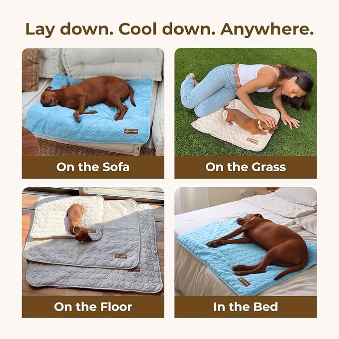 Dog Cooling Mat- Ice Silk Summer Comfort, Self Cooling, Non-Slip Dog Pad, Durable & Washable, Mat for Large Dogs 65x95 cm, Support Shelter Dogs with Every Purchase (Beige)
