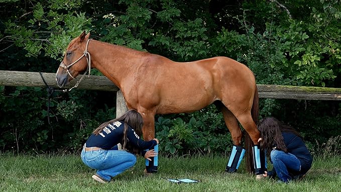 Warrior Fly Boots for Horses - Breathable Mesh Horse Boots for Fly Protection & Leg Comfort - Set of 4 (Trojan Warrior, Gray)