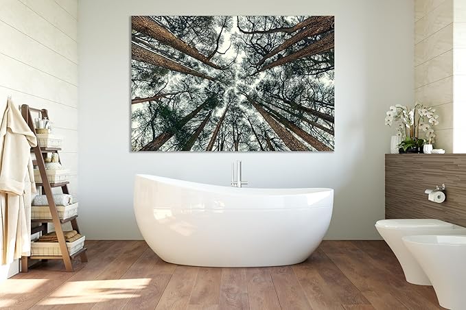 Nature Wall Art Prints - Ocean Forest Mountain Lake Canvas Landscapes - Small to Extra Large Living Room Bedroom Kitchen Bathroom Décor (Trees and Sky, 35L" x 53W")