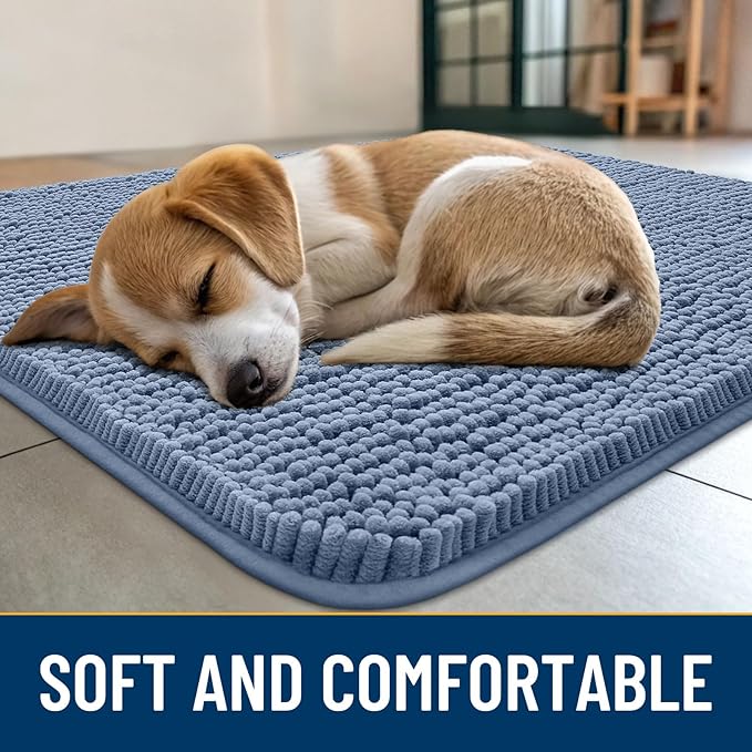 Smiry Dog Door Mat for Muddy Paws 36x24, Absorbs Moisture and Dirt Doormat, Non-Slip Washable Quick Dry Chenille Front Door Mat Indoor Entrance, Entryway Carpet for Inside Floor, Airy Blue