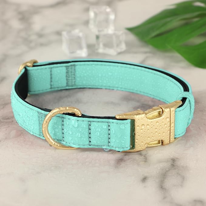 Didog Soft Padded Dog Collars for Small Dogs, Colorful and Durable Dog Collar with Quick Release Buckle, Light and Breathable for Daily Walking, Green, S
