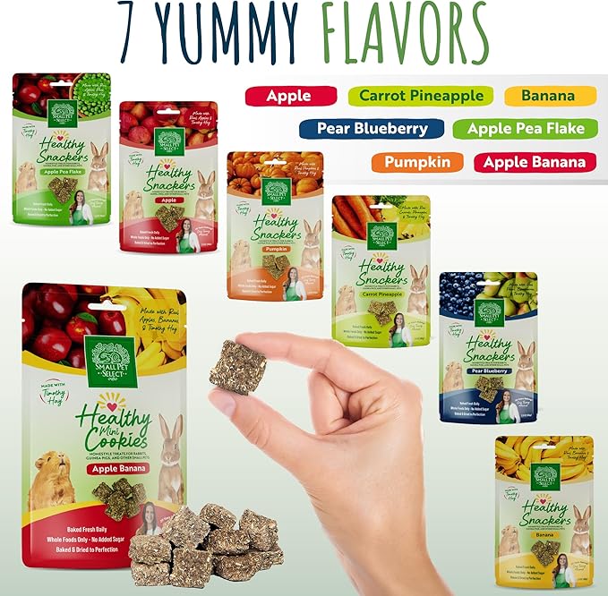 Small Pet Select Healthy Snackers Mini Cookies- Apple Banana, 2 oz (Pack of 2)