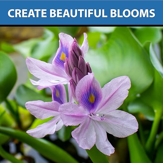 CrystalClear Thrive Aquatic Pond Plant Food, Fish Safe Water Garden Fertilizer, Nutrients Boost Lily & Lotus Flower Bloom & Root Growth, 30 Tablets