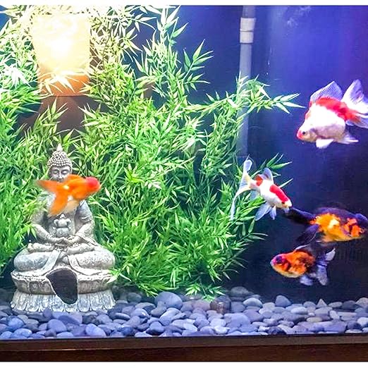 5 lbs Mexican Beach Pebbles, 2-3 Inch Decorative River Rocks for Fish Tank Aquarium Fountain, Decorative Pebbles for Garden Landscaping, Home Décor, Outdoor Paving Walkways Pathways Backyard