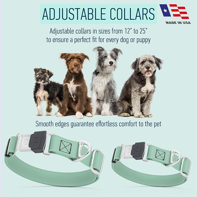Dogline Biothane Waterproof Dog Collar with Herm Sprenger Black Stainless Steel Quick Release Buckle – Heavy Duty Tactical Durable Collar for Dogs – Comfortable Pet Collar W3/4" L12-19 Sage Green