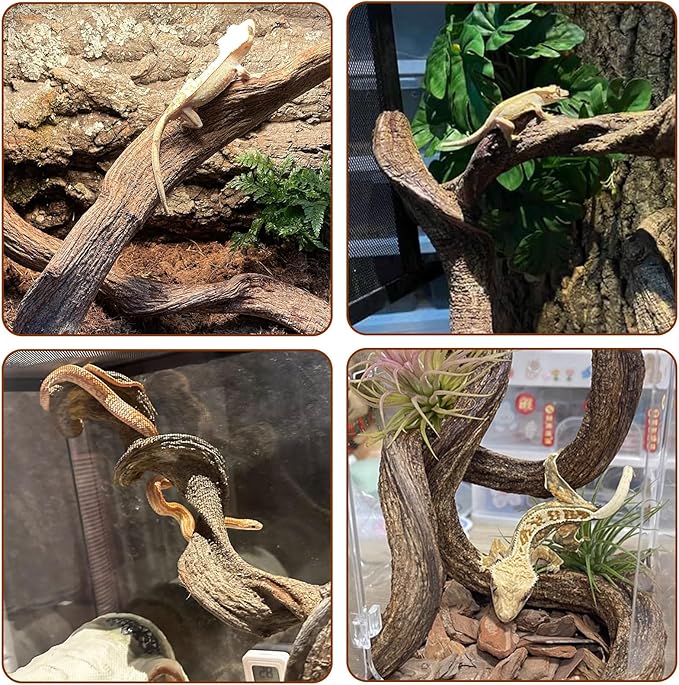BNOSDM 4Pcs Reptile Climbing Branches Decor,Snake Climbing Branch,Gecko Climb Wood,Lizard Forest Branch,Tank Habitat Tree Trunk Decorations for Bearded Dragons,Chameleons,Spider,Frogs (S)
