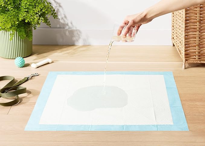 Amazon Basics Dog and Puppy Pee Pads with 5-Layer Leak-Proof Design and Quick-Dry Surface for Potty Training, Standard Absorbency, X-Large, 28 x 34 Inch - Pack of 60, Blue & White