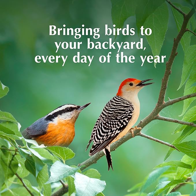 C&S Sunflower Suet Nuggets, Suet Nuggets for Wild Birds, 27 Ounces