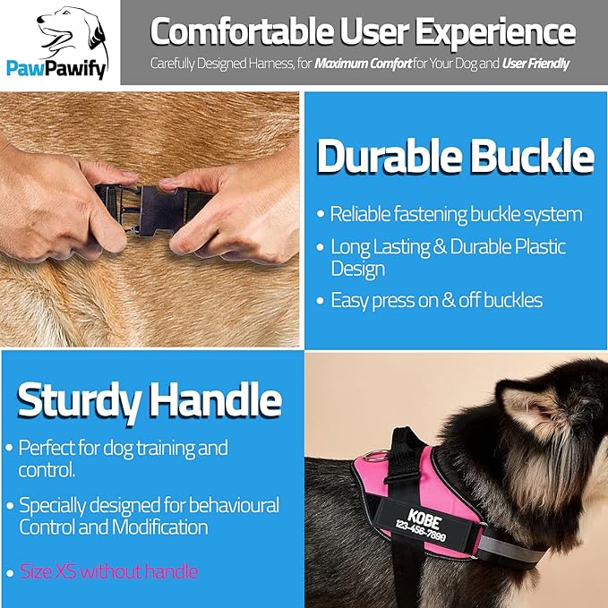 PawPawify Custom No Pull Dog Harness with Name and Phone Number, Heavy Duty Personalized Pet Vest to Prevent Tugging, Pulling, or Choking, Training and Walking (SkyBlue, L (40-60 LBS))