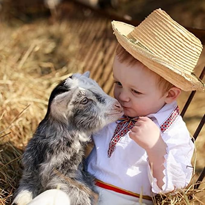 Blue Mountain Hay | Fresh Teff Grass Hay (24 Ounce) | Low NSC, High Fiber, Healthy Weight Management | High-Altitude Hay Pet Food for Rabbits, Guinea Pigs, Chinchillas, Hamsters, and Other Small Pets