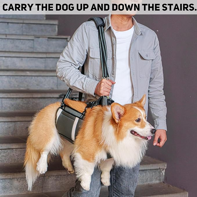 COODEO Mobility Dog Lift Harness, Emergency Carry Sling, Pet Rear Leg Support Rehabilitation Lifts Vest, Dog Carrier for Senior Dogs Joint Injuries, Arthritis (Military Green, M)