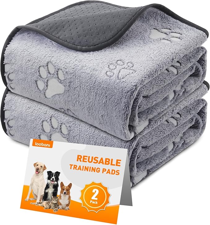 LOOBANI Washable Pee Pads for Dogs, Fast Absorption Reusable Puppy Pads, Waterproof Whelping Pads, Non Slip Training Pads Pet Playpen Mat for Floor, Dog Crate, Grey 2 Pack 31 x 36 in