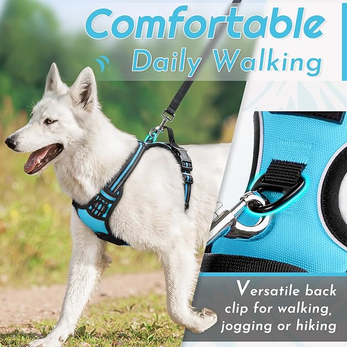 Eagloo Dog Harness Small Sized Dog, No Pull Service Vest with Reflective Strips and Control Handle, Adjustable and Comfortable for Easy Walking, No Choke Pet Harness with 2 Metal Rings, Sky Blue, S