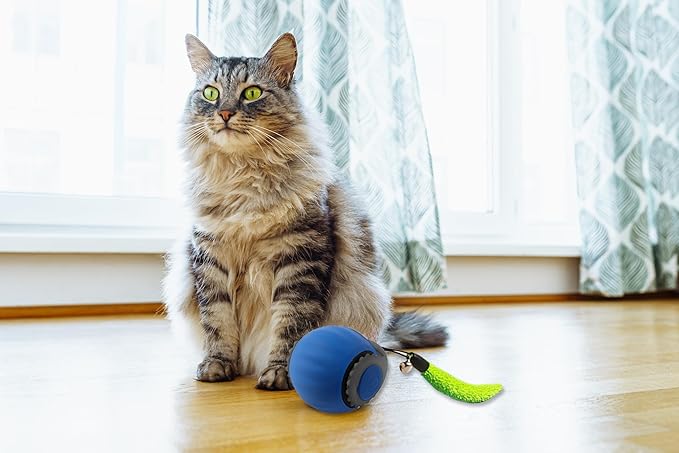 Smart Speedy 3.0 Interactive Cat Ball with Auto Obstacle Avoidance - Indoor Kitten Toy for Mental Stimulation & Playtime Fun ，2025 Edition (Blue)