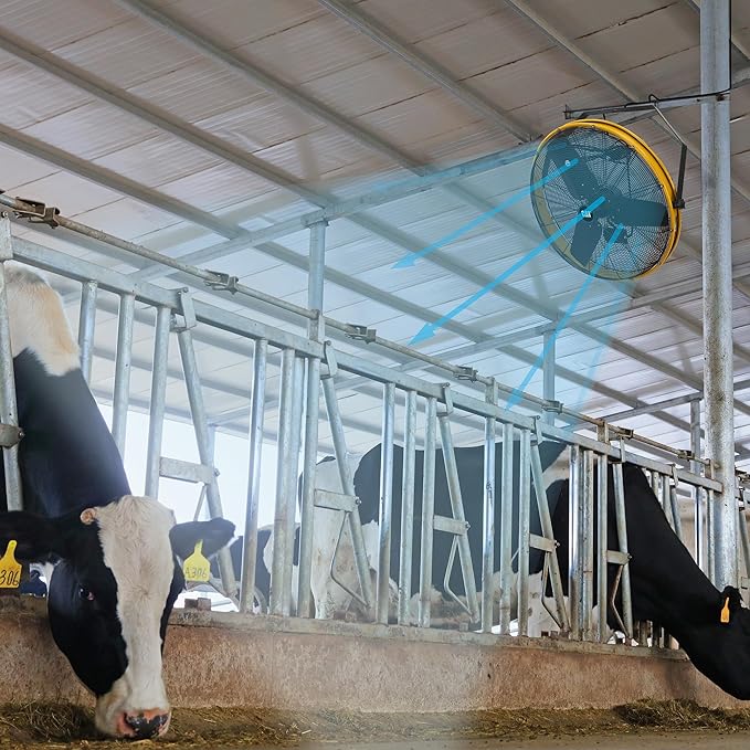 CAT 30 Inch Outdoor IPX4 Weatherproof High Velocity Wall Mounted Shroud Fan. 8900 CFM, 3 Speed - For Industrial, Commercial, & Residential Use. cETL Certified