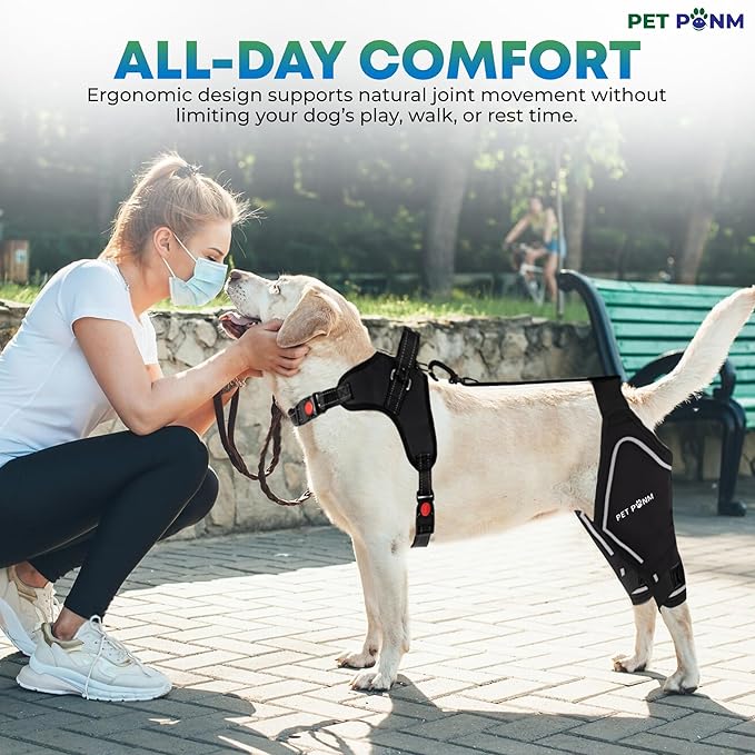 Dog ACL Knee Brace for Back Left Leg - with Integrated Harness - for Cruciate Ligament Injuries, Patellar Luxation, Post-Surgery Recovery. Durable, Breathable Material, Eases Pain - (XSmall)