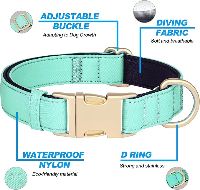 Didog Soft Padded Dog Collar for Large Dogs, Colorful and Durable Pet Collar with Quick Release Buckle, Light and Breathable for Daily Walking, Green, L