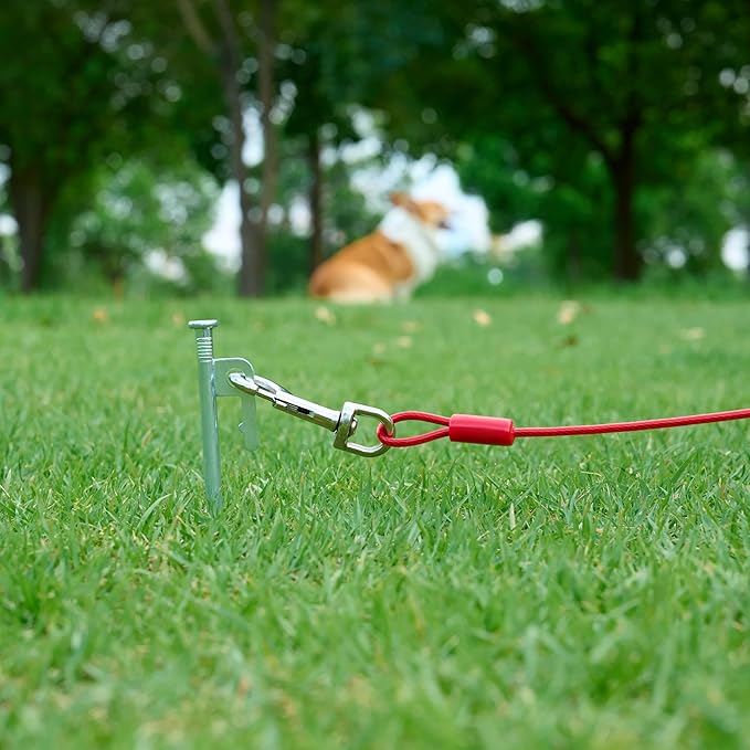 Amazon Basics Tie-Out Cable For Dogs Up to 56.7kg/914.4cm (Pack of 1), Red