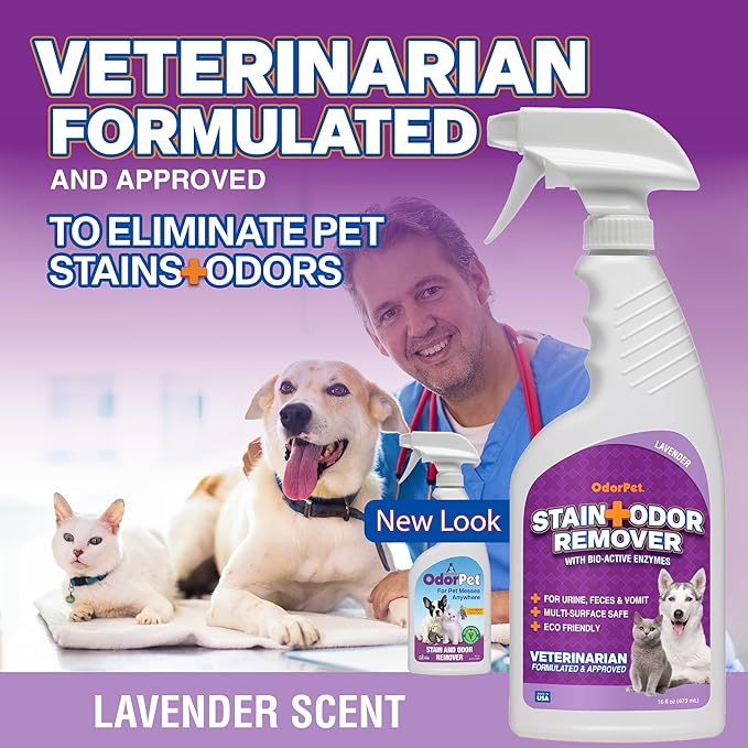 OdorPet Pet Stain Remover and Odor Eliminator - 16 Oz Ready To Use Spray, Non Staining, Professional Strength, Lavender Scent by Alpha Tech Pet