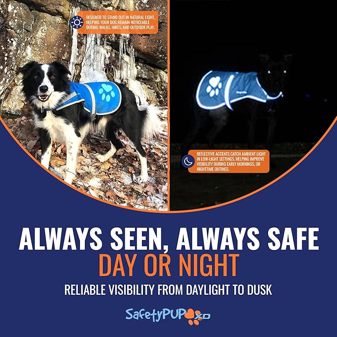 Dog Reflective Vest – Hi-Vis Fluorescent Visibility That Helps to Safeguard Your Pet On/Off Leash in Urban & Rural Areas (Blue, Large)