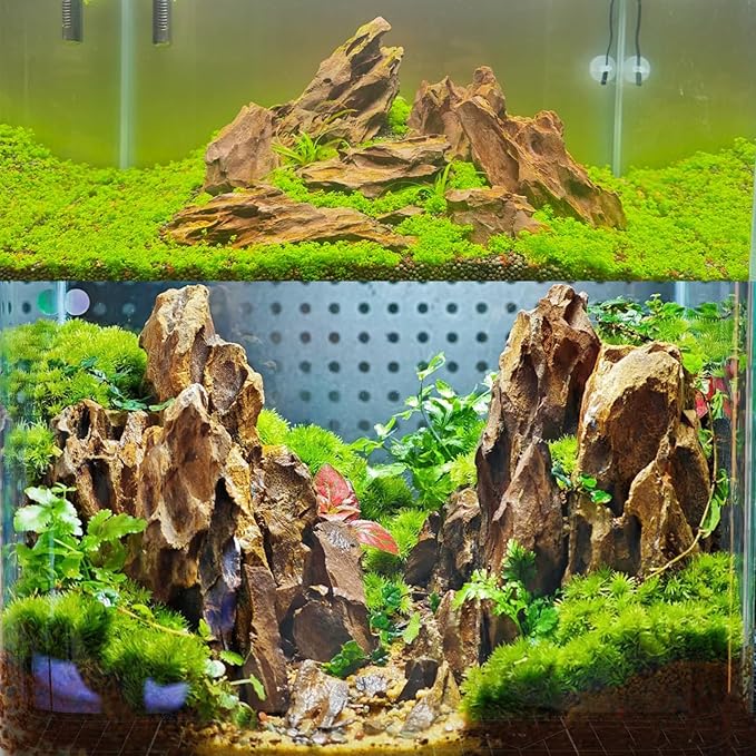 Dragon Rocks Aquariums Stones Natural Rocks for Aquascaping, Aquariums, Terrariums, Vivariums Decorative Stone,Reptile Enclosures,Paludariums,and Gardens-10LB（2 to 7 inch）