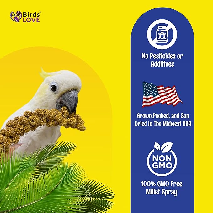 Birds LOVE Spray Millet – 9 oz GMO-Free, No Stems (Only Edible Tops) – Healthy Treat for Parakeets, Cockatiels, Finches, Canaries & Lovebirds