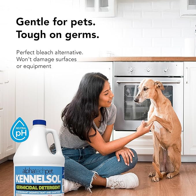 ATP KennelSol 1-Step Kennel Cleaner - 1 Gallon (Pack of 4) Liquid Disinfectant, Effective Against Bacteria and Viruses, Deodorizer Wintergreen Scent by Alpha Tech Pet