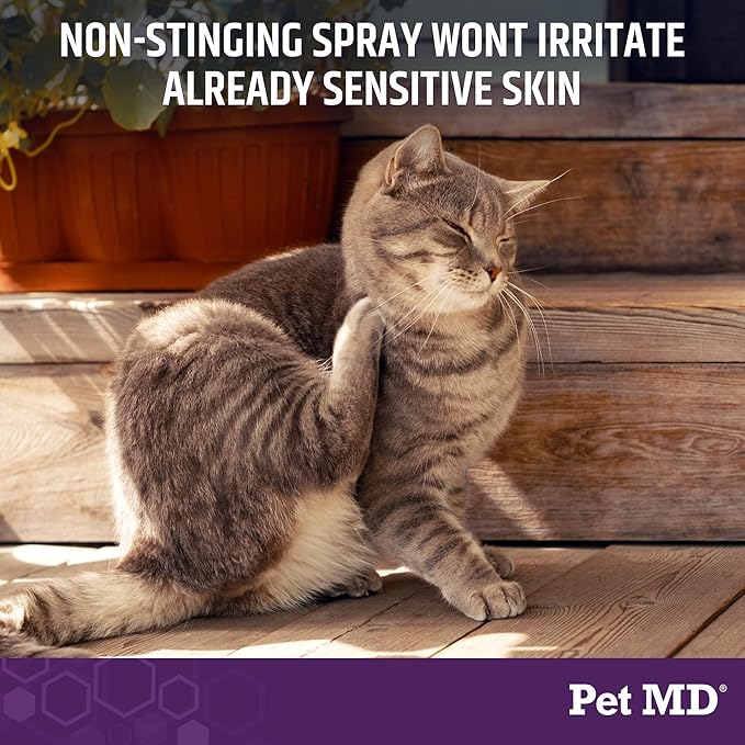 Pet MD All-in-One Derm Care - Hypochlorous Acid Spray for Dogs & All Pets - Skin Soother for Dogs & Wound Spray for Dogs - Cat Wound Care, Dog Hot Spot Remedy, & Dog Itch Relief - 4oz