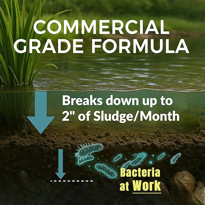 Muck Clear - 15LB Beneficial Bacteria for Ponds & Lake, Boost Enzymes, Sludge Odor Away, Outdoor Fish Pond Water Clarifier, Safe for Aquatic Life, Treats Up to 90,000 Sq Ft