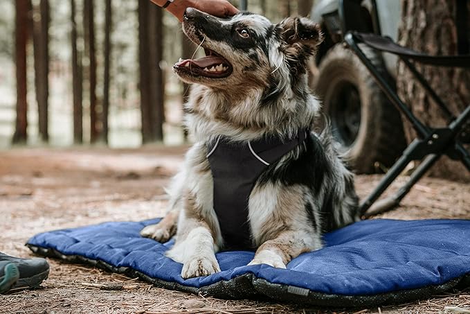 K9 Ballistics Tough Ripstop Dog Crate Pad - Durable & Machine Washable with Non-Skid Bottom and 120-Day Warranty, Fits 30" Wire Crates - Small, Obsidian Black