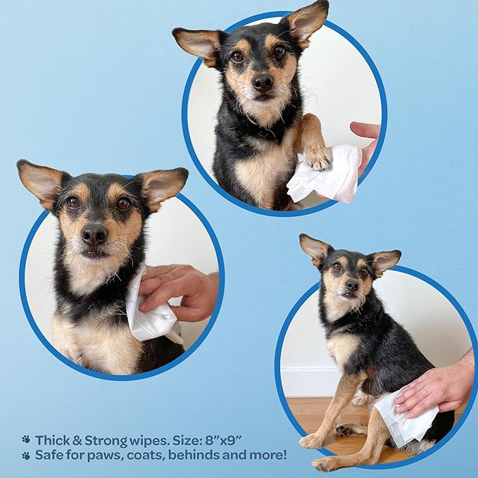 Best Pet Supplies Pet Wipes for Dogs - Dog Wipes Cleaning Deodorizing, for Coats, Ears, Paws - Calming Lavender, Aloe Vera, 100 Count