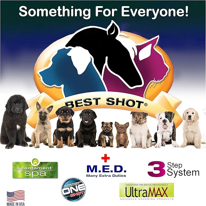 Best Shot Scentament Spa Seasonal Facial & Body Wash, Mango Maui, 16 oz