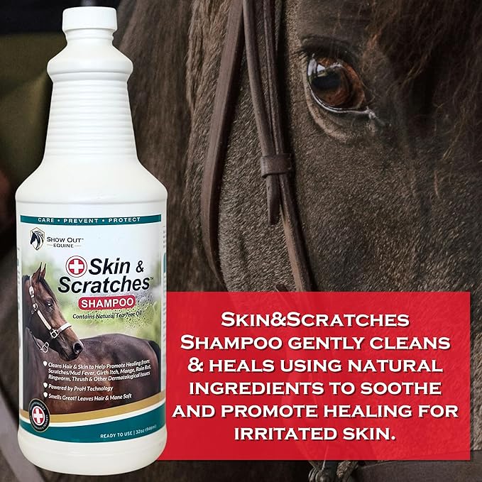 Show Out Skin & Scratches Prevention Pack - Fast Relief and Prevention for Horse Care. Use on Equine Scratches/Mud Fever, Girth Itch, Mange, Rain Rot & Other Skin Issues on Horses w/Empty Spray Bottle