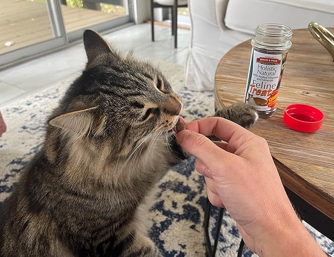Bench & Field Holistic Natural Healthy Kitty Cat Treats | Crunchy Fish-Shaped Bites | Delicious Seafood Flavored Snack, 3-Ounce (Pack of 6 Bottles)