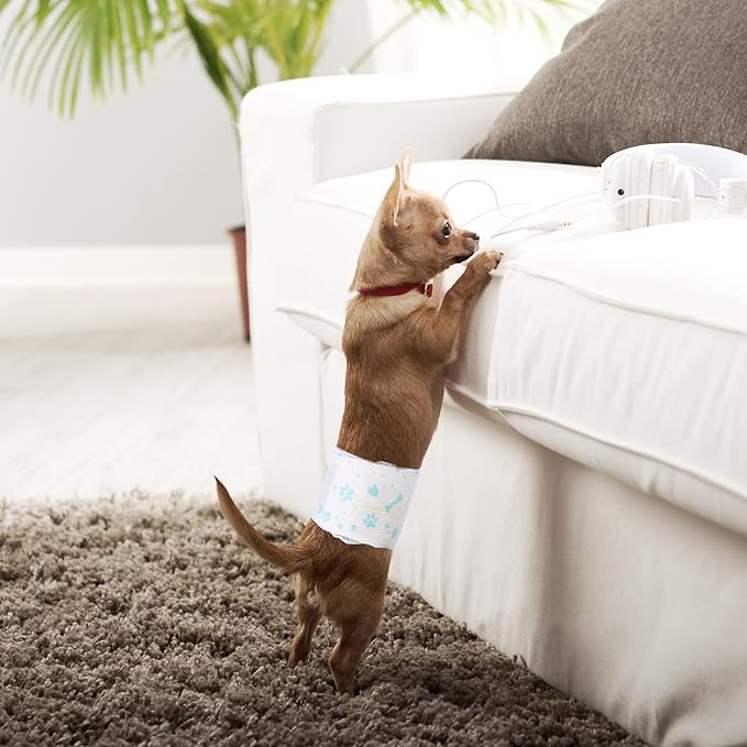 Male Dog Wrap, Disposable Dog Diapers, 40 Count, XS (Waist 10.6”-16.6”), Wetness Indicator, Ultra Protection, Leak Proof, Super Absorbent, Soft