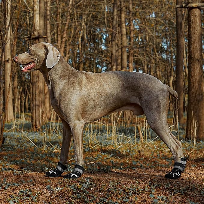 Dog Shoes for Large Dogs, Waterproof Dog Booties for Small Medium Dogs, Anti-Slip Dog Boots & Paw Protectors for Hot Pavement Winter Snow Hiking with Reflective Straps (Black, 6# (L))