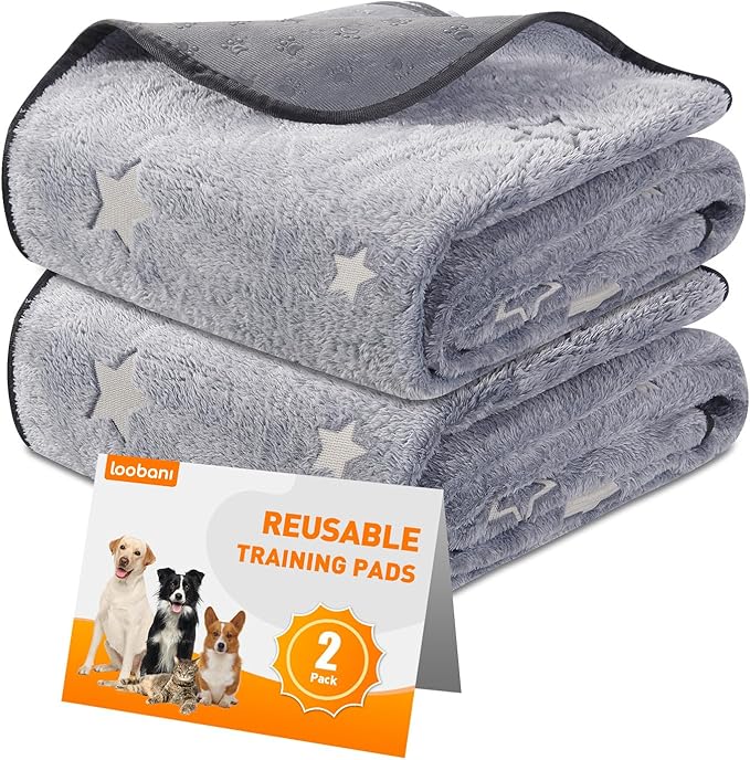 LOOBANI Washable Pee Pads for Dogs, 2 Pack 36 x 48 in, Grey Star Pattern, Reusable Dog Surface Protector, Flannel Material