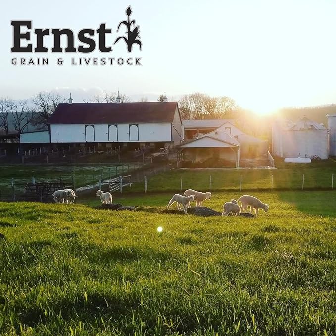 Ernst Grain & Livestock Bird and Wildlife Feed – Perfect for Birds, Ducks, Squirrels, Turkeys, Rabbits, Geese, and Deer – Non-GMO Wild Animal & Bird Feed for Outside Feeders - 10lbs