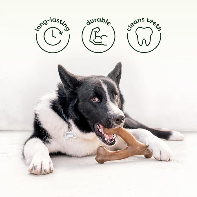 Benebone 2-Pack Bacon Wishbone/Rubber Bone Medium