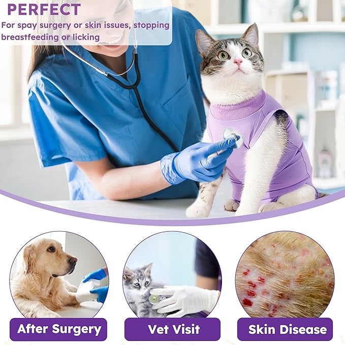 Cat Recovery Suit, Breathable Cat Surgery Recovery Suit Female, Cat Onesie for Cats After Surgery Spay Surgical Abdominal Wound Skin Diseases Cone of Shame Alternative Purple(M)